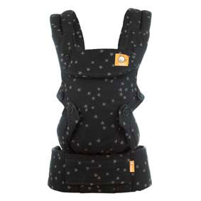 Baby Tula Explore Carrier, Discover
